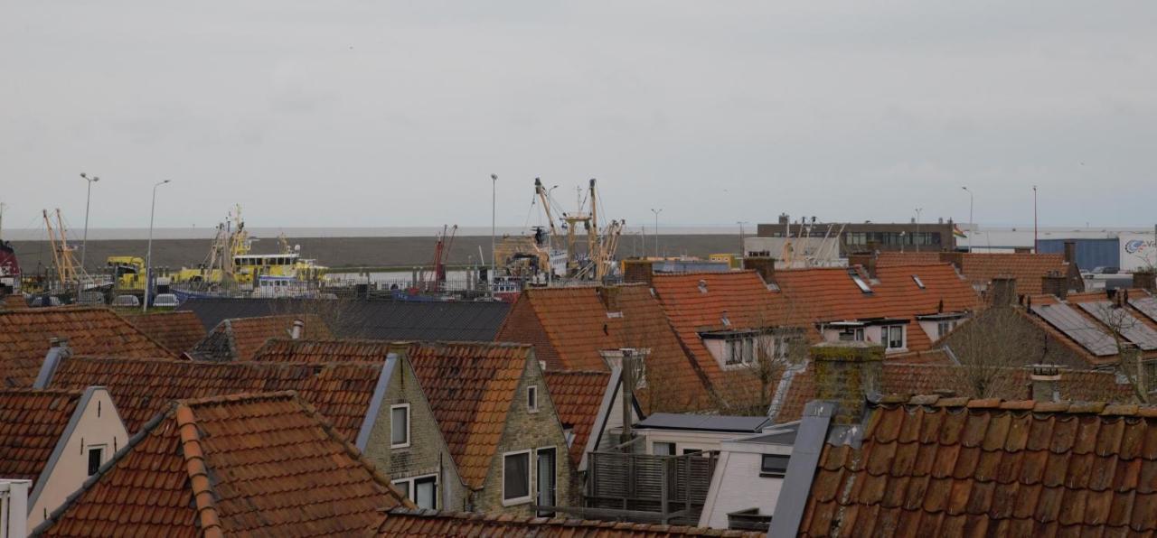 Logement Garjen Harlingen Exteriör bild