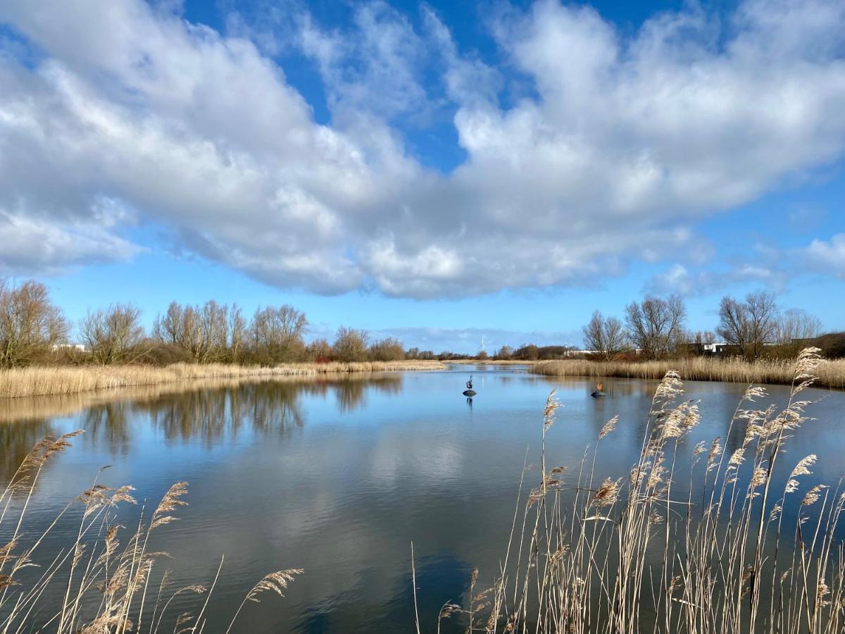 Logement Garjen Harlingen Exteriör bild